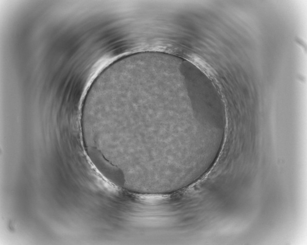 X0000093451200200711021108