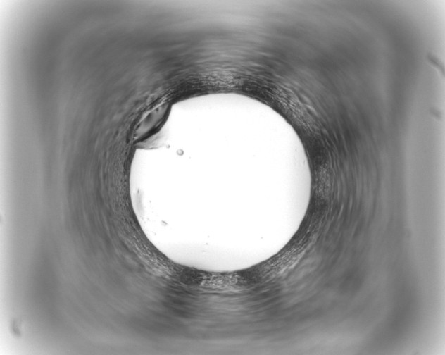 X0000093451201200711021107