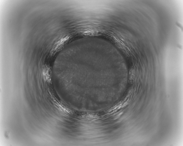 X0000093451202200711021107