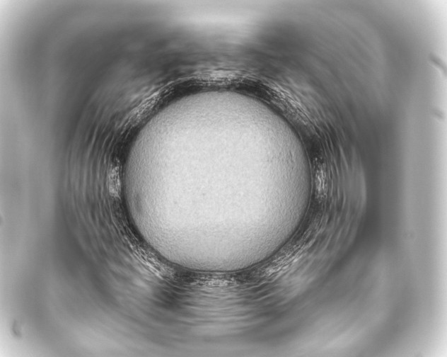 X0000093451204200711021107