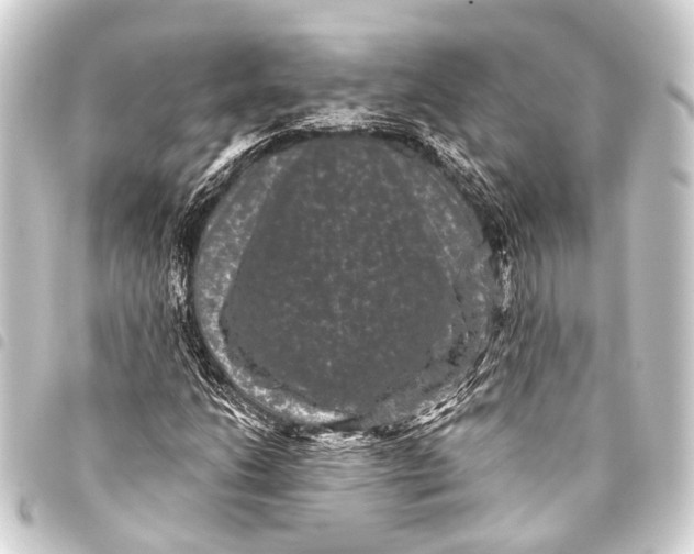 X0000093451206200711021107