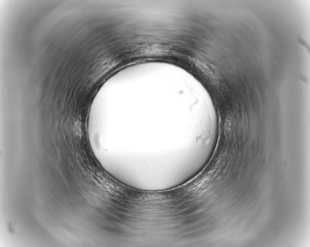 X0000093451209200711021107