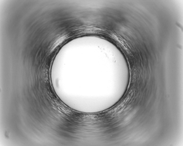 X0000093451211200711021107