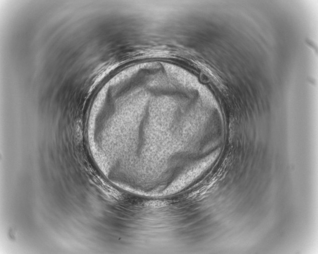 X0000093451212200711021107