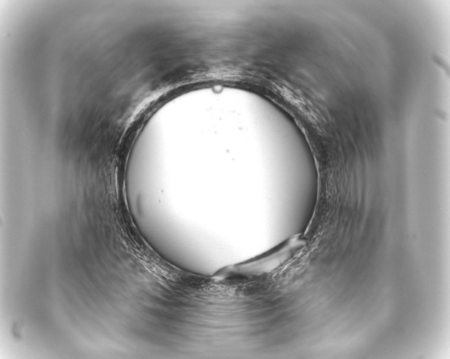 X0000093451214200711021107