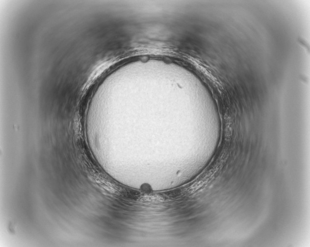 X0000093451215200711021107