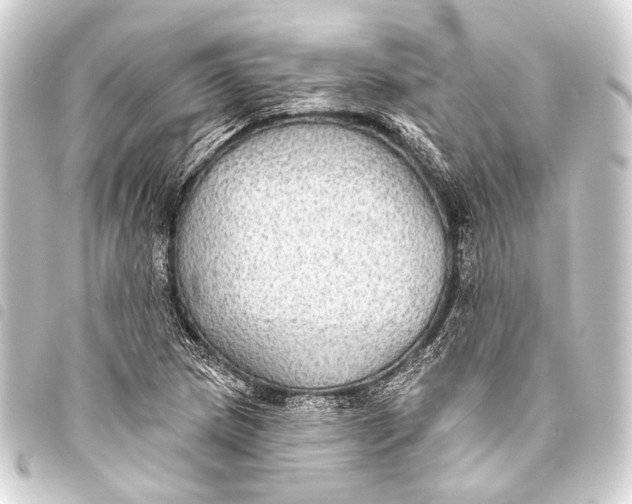 X0000093451217200711021107