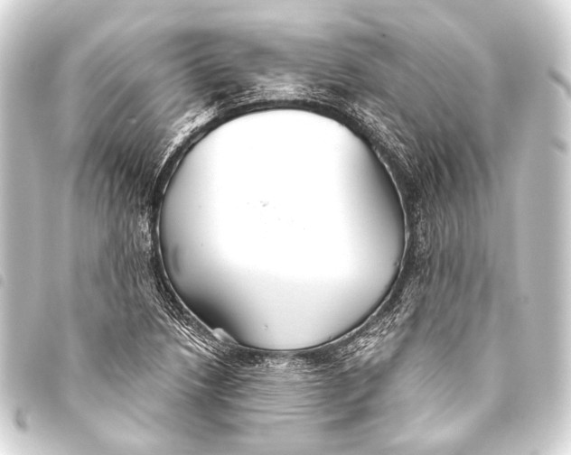 X0000093451218200711021107