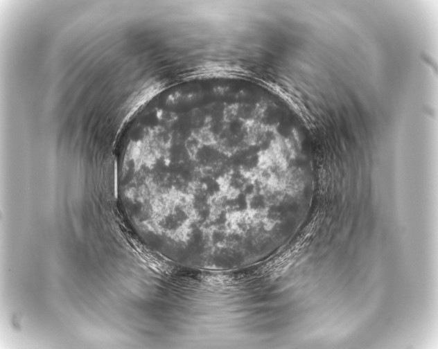 X0000093451219200711021107