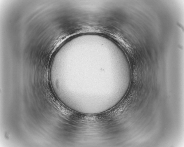 X0000093451220200711021107