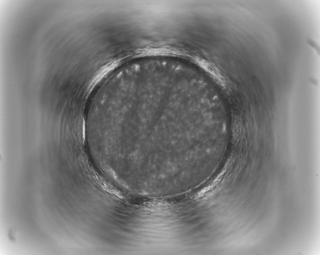 X0000093451221200711021107