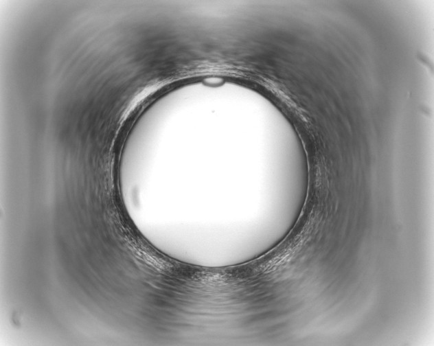 X0000093451222200711021107