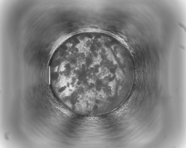 X0000093451223200711021107