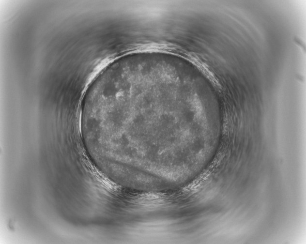 X0000093451224200711021107