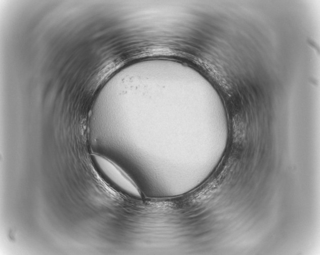 X0000093451225200711021107