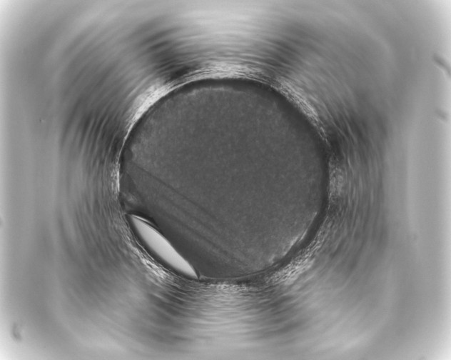 X0000093451226200711021107