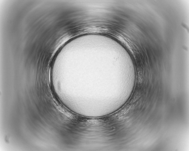 X0000093451227200711021107