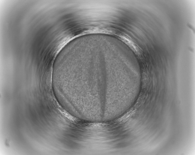 X0000093451228200711021107