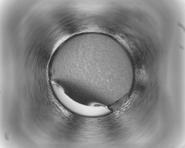 X0000093451230200711021107