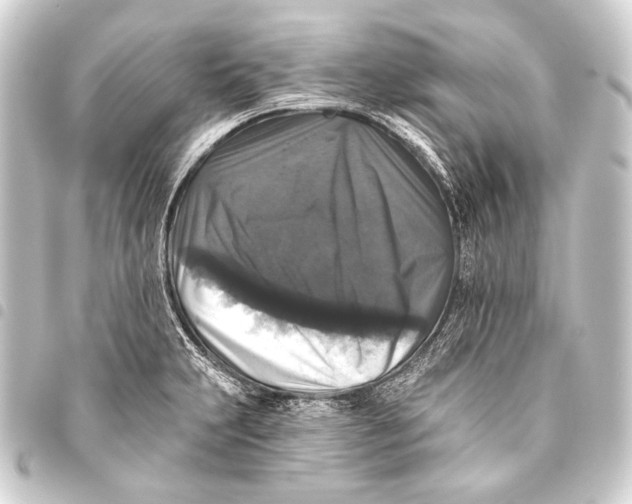 X0000093451231200711021107