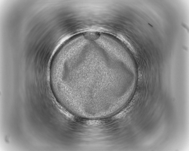 X0000093451232200711021107