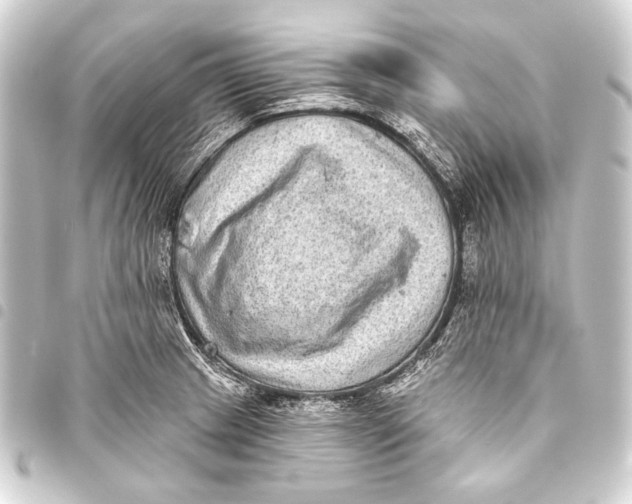 X0000093451233200711021108