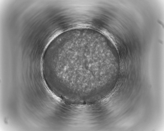 X0000093451235200711021108