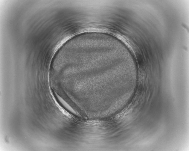 X0000093451237200711021108