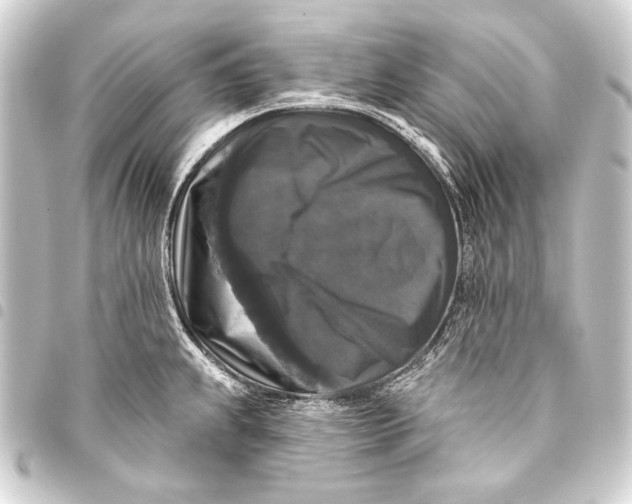 X0000093451239200711021108