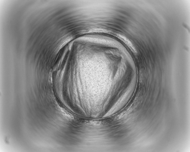 X0000093451241200711021108