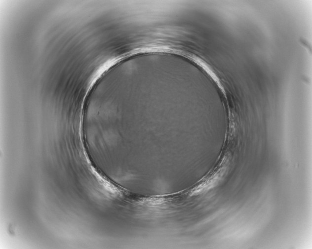 X0000093451245200711021108