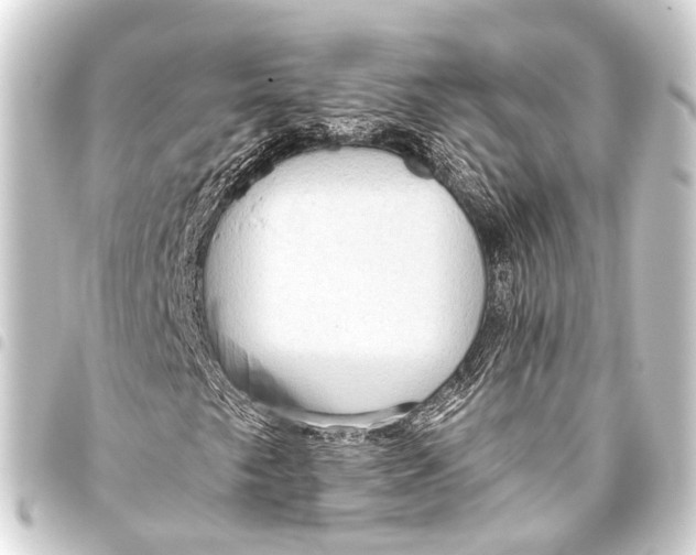 X0000093451249200711021107