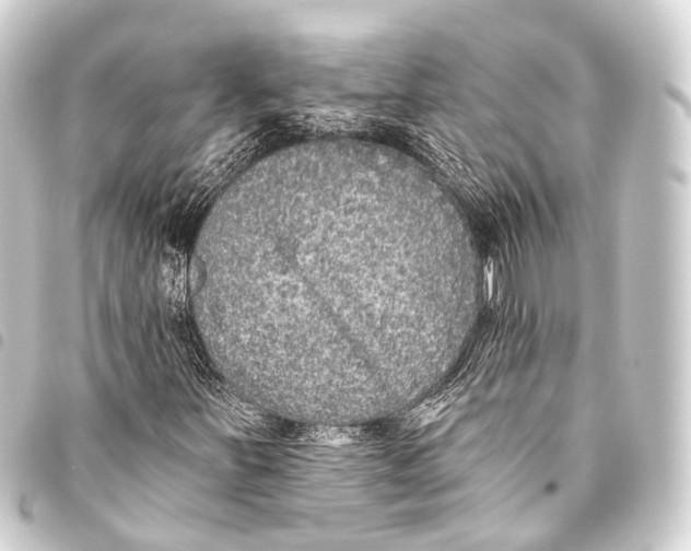 X0000093451251200711021107