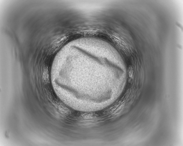 X0000093451252200711021107