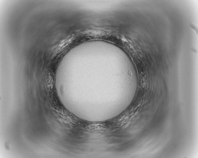 X0000093451253200711021107