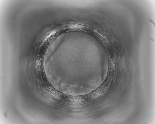 X0000093451254200711021107