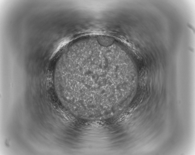 X0000093451255200711021107