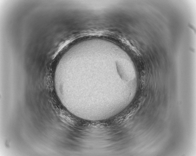 X0000093451256200711021107