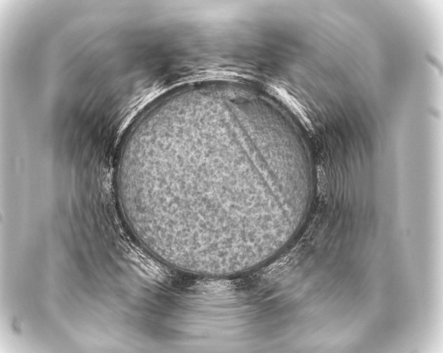 X0000093451260200711021107