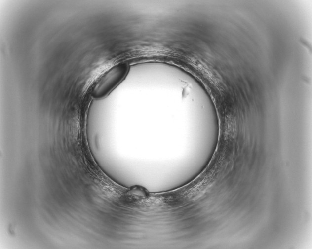 X0000093451261200711021107