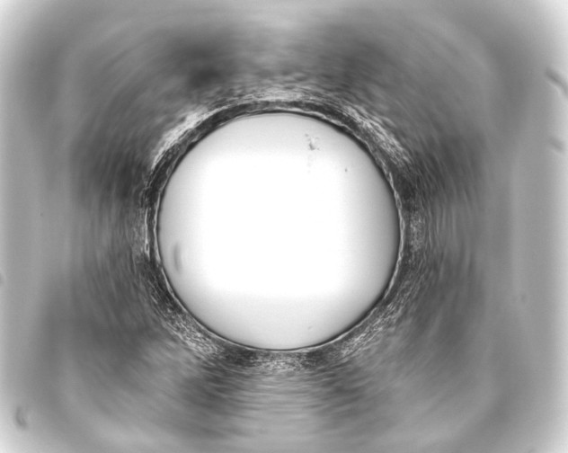 X0000093451262200711021107