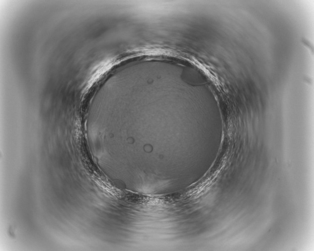 X0000093451263200711021107