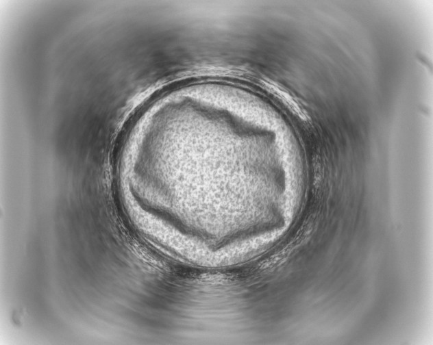 X0000093451264200711021107