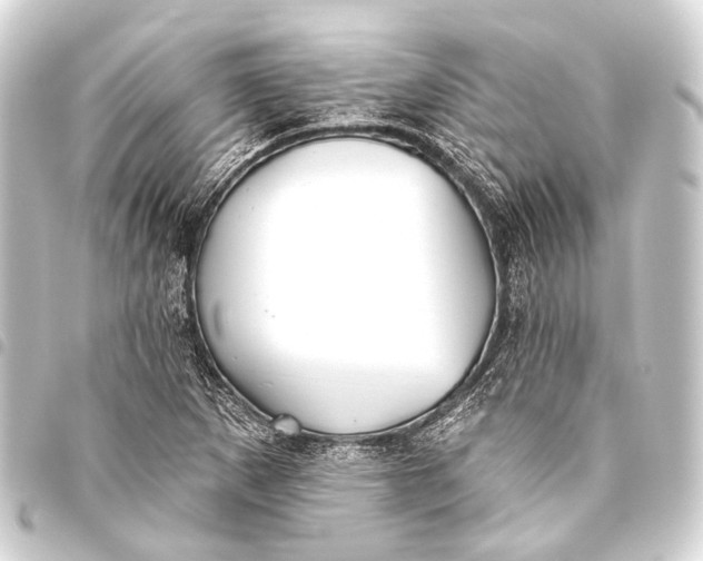 X0000093451265200711021107