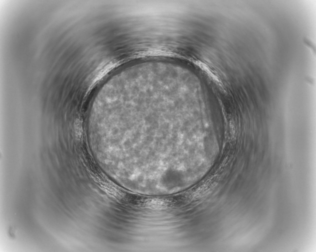 X0000093451266200711021107