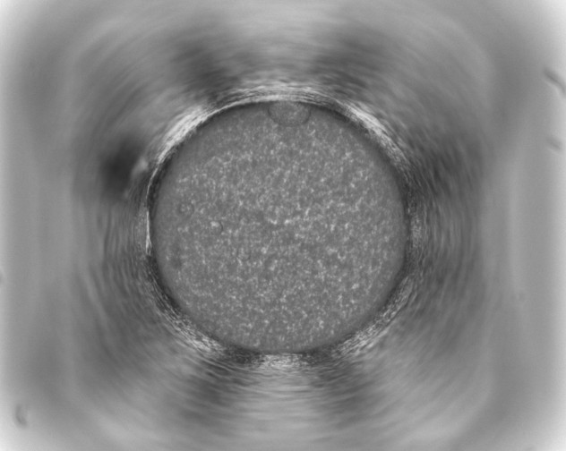 X0000093451267200711021107