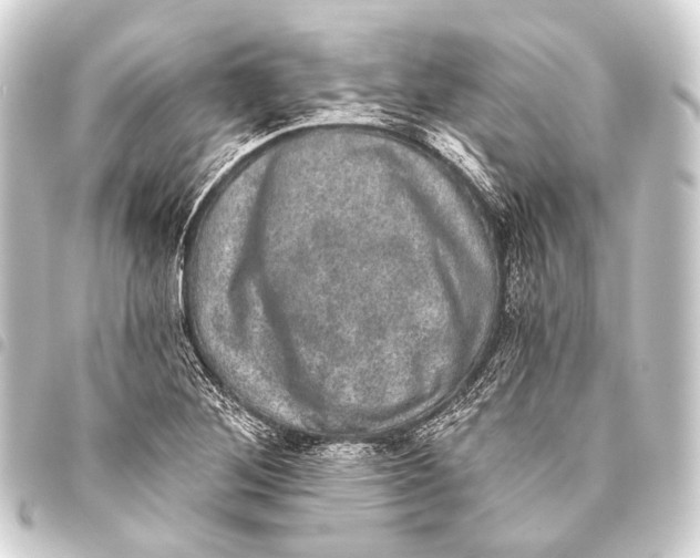 X0000093451268200711021107