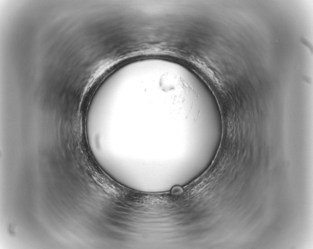 X0000093451270200711021107