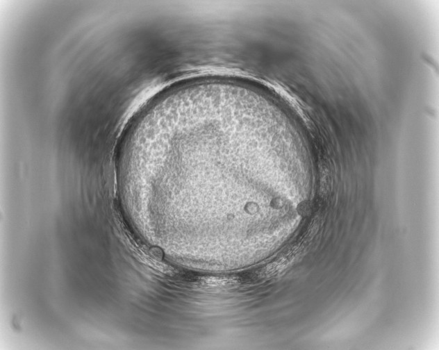 X0000093451271200711021107