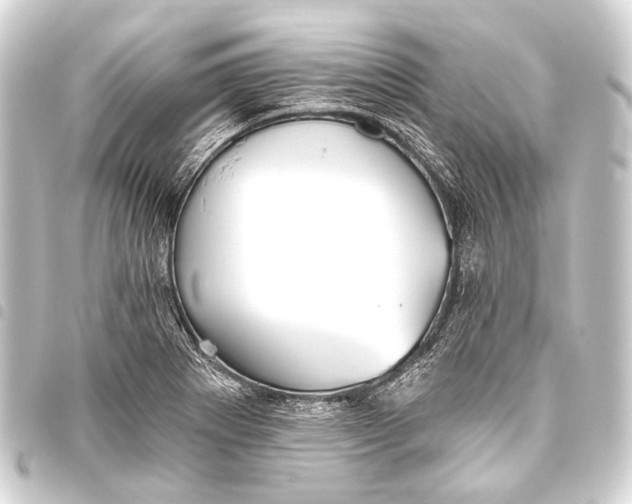 X0000093451273200711021107